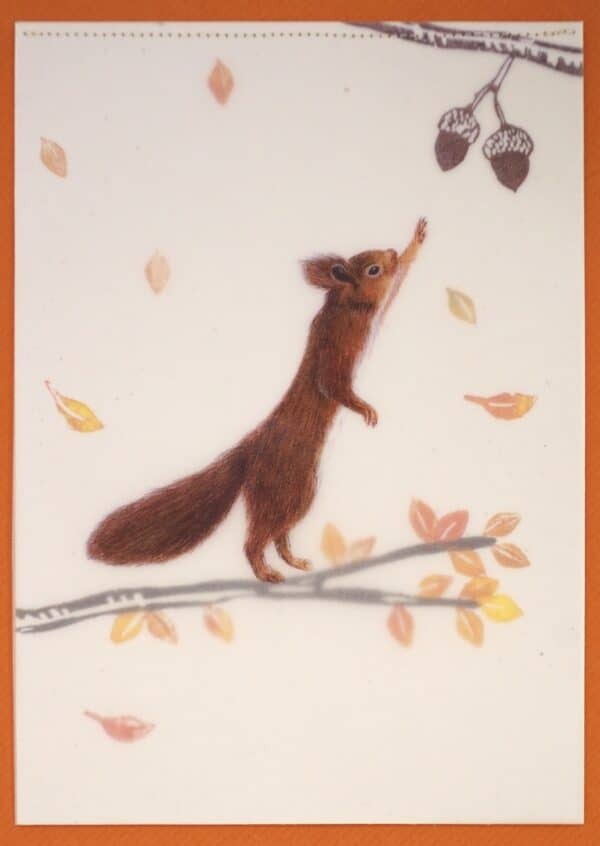 Eichhörnchen Herbst