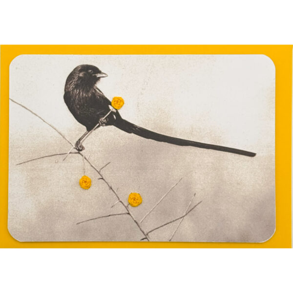Afrikanischer Vogel