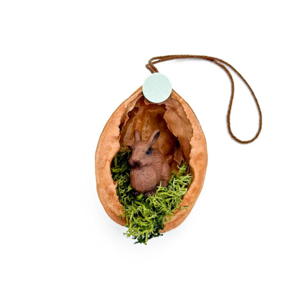 Nuss mit Häsli